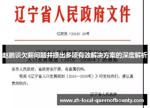 赵鹏谈欠薪问题并提出多项有效解决方案的深度解析